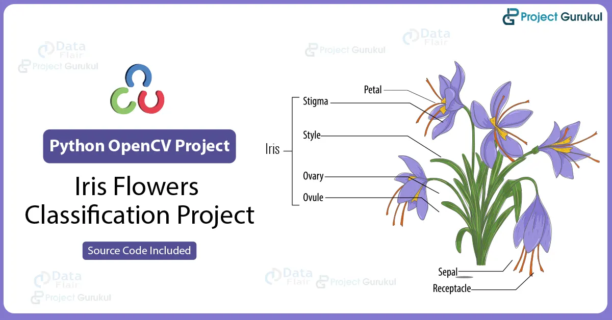 lris flowers classfication project